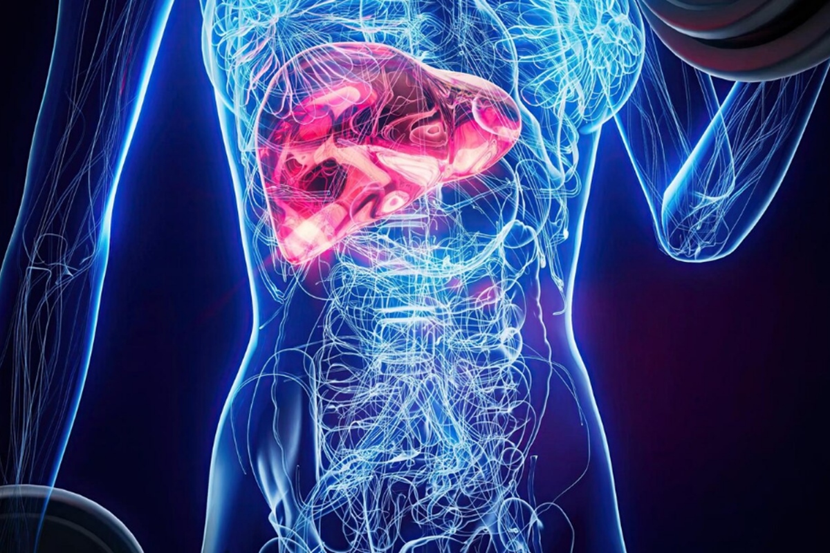 Endocrinologista aponta o melhor tratamento contra gordura no fígado
