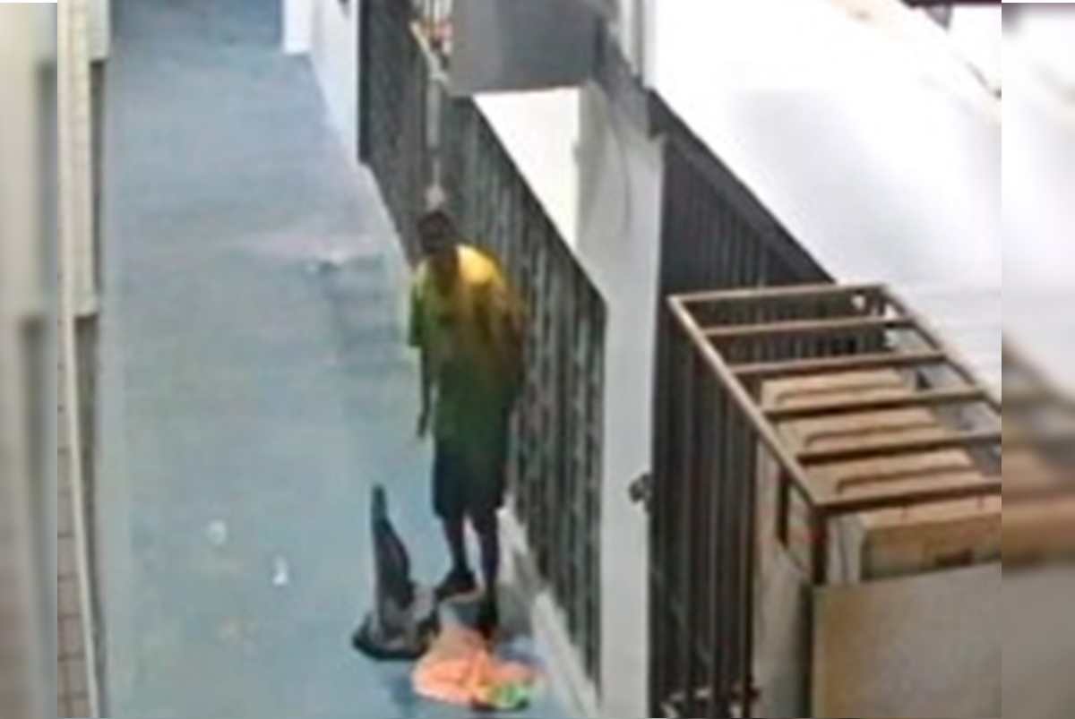 Escola tem cabos de ar-condicionado furtados três vezes em 10 dias. Veja vídeo