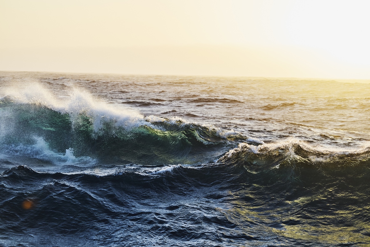 Tratado do Alto-Mar entra em vigor neste sábado (17/1). Saiba o que é