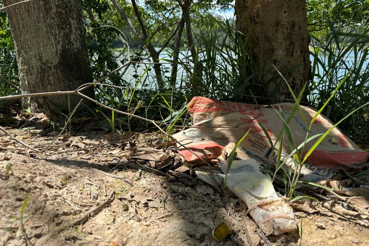 Obra de parque em zona de proteção ambiental deixa lixo e desmatamento