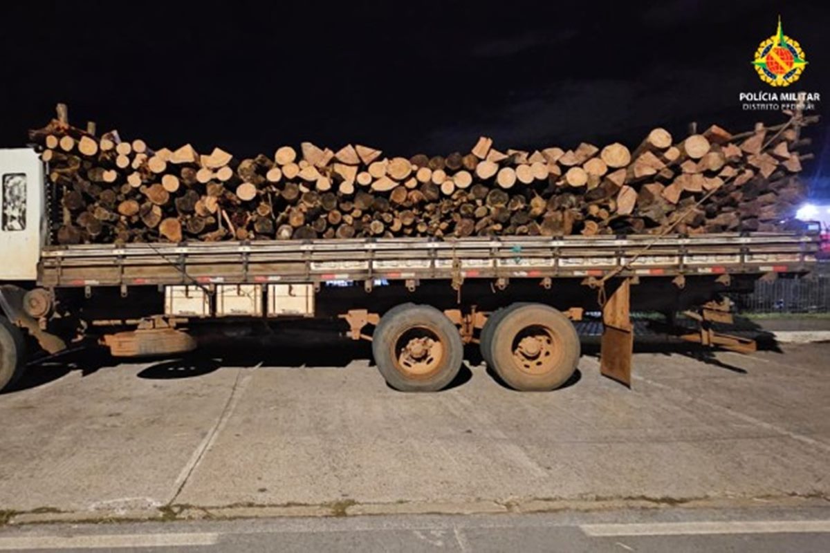 Crime ambiental: PM flagra transporte ilegal de madeira em área do DF