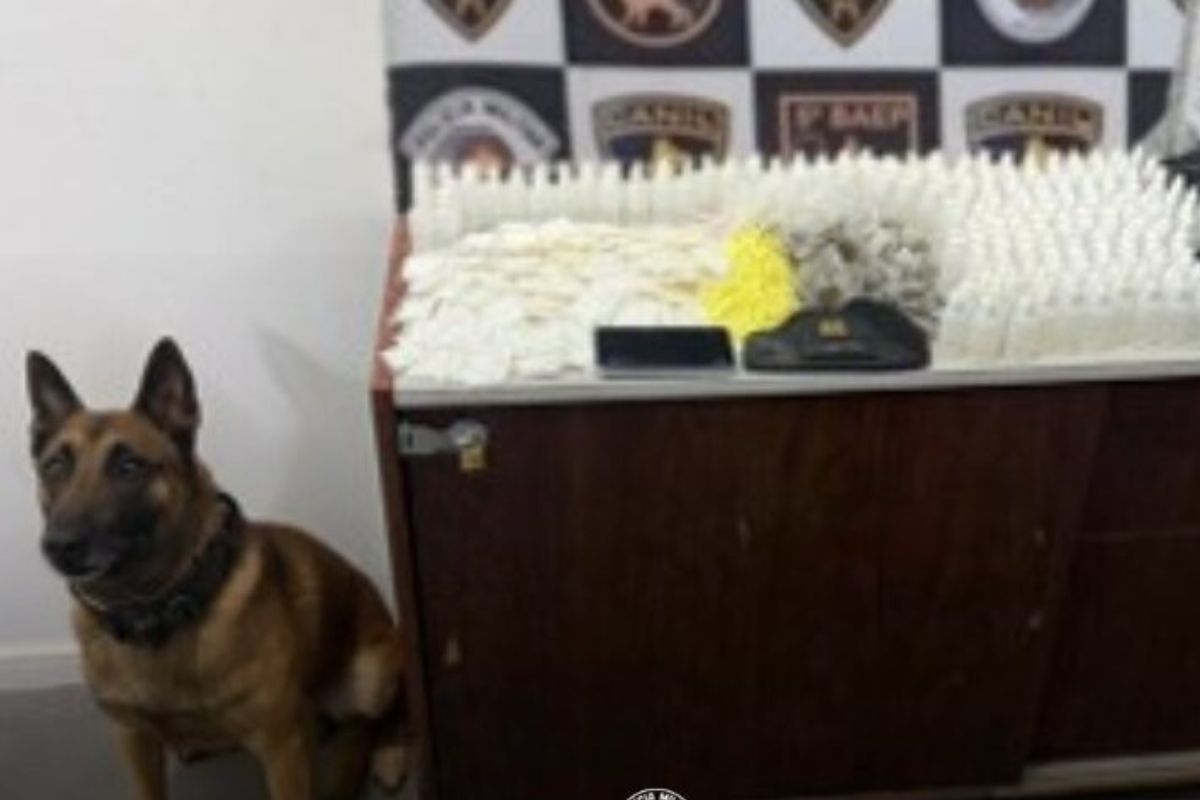 Blitz flagra Peugeot com remédios ilegais, anabolizantes e iPhones