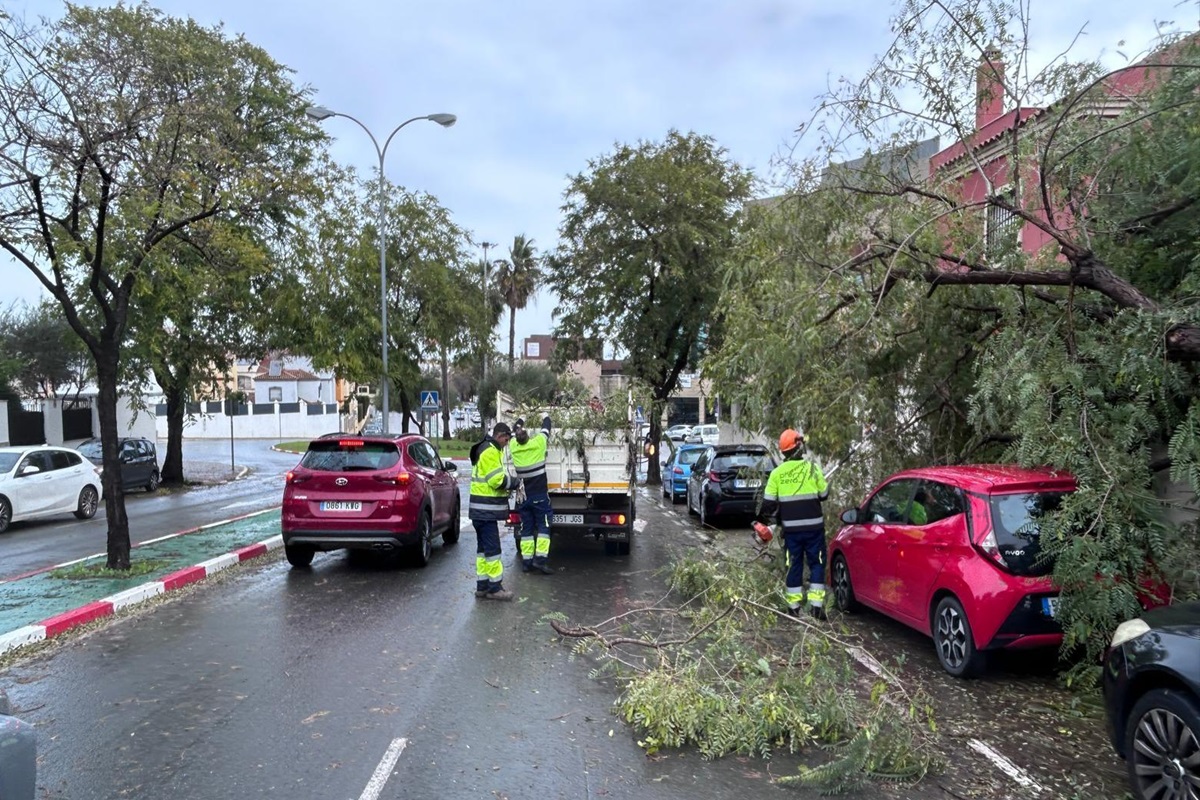 Tempestade Kristin afeta estradas, aeroportos e escolas na Espanha