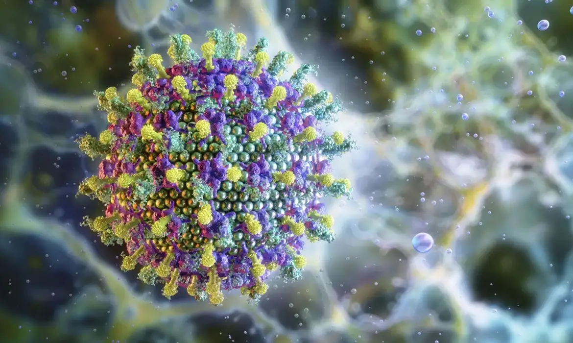 OMS afirma que risco do vírus Nipah é baixo na Índia, sem propagação