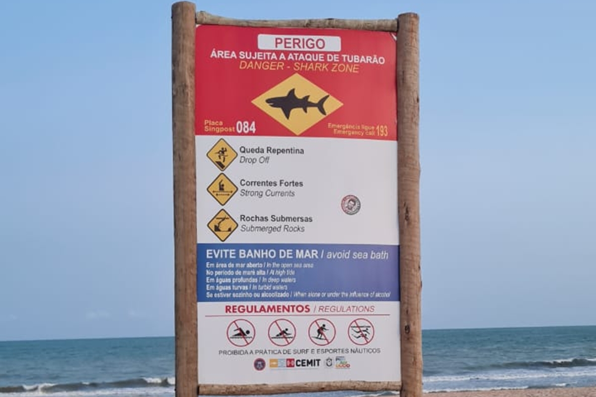Saiba qual é a "praia proibida" onde adolescente foi morto por tubarão