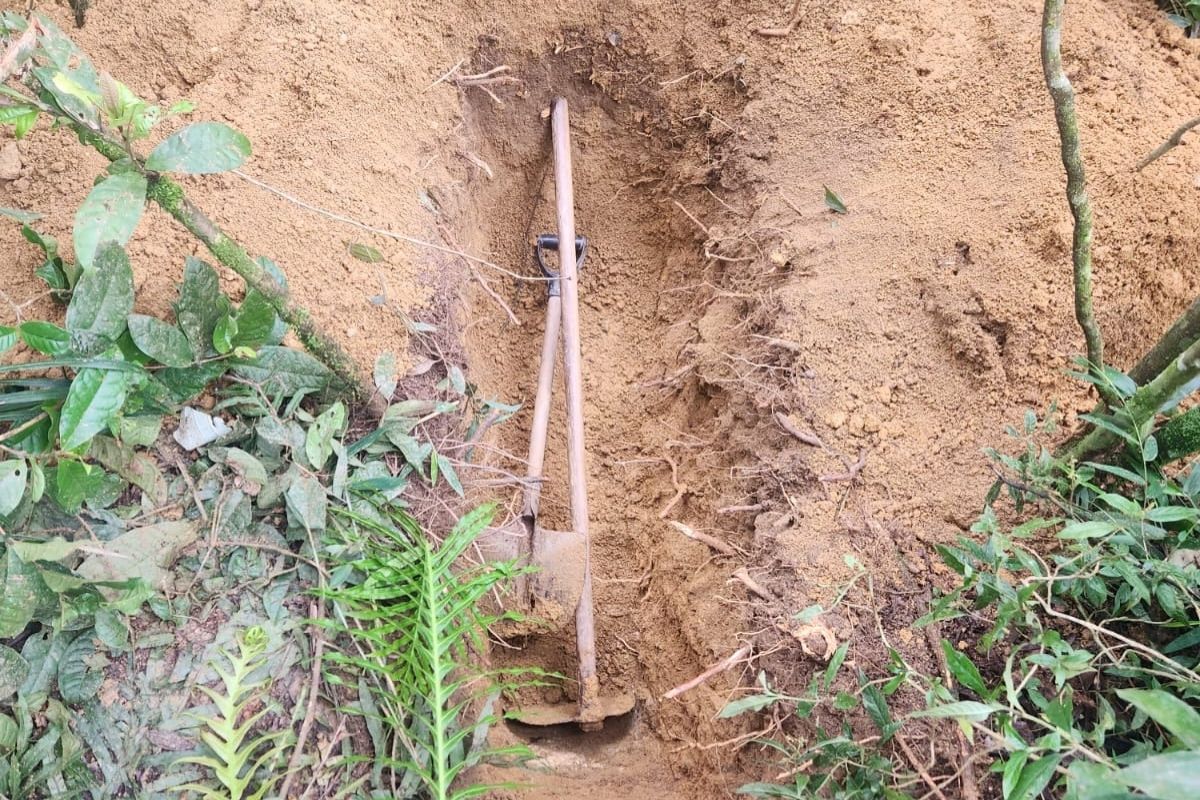 Cemitério clandestino é descoberto na Grande SP com ao menos 3 corpos
