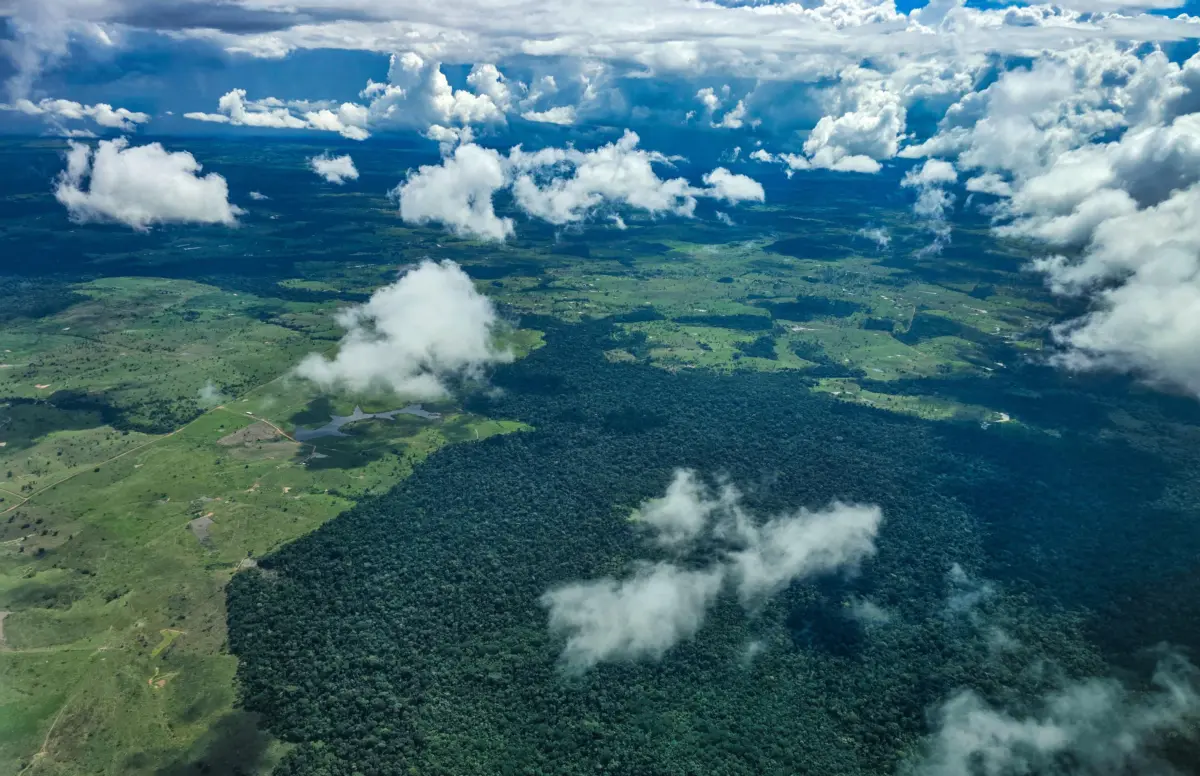 Acre registra 433 fiscalizações ambientais e aplica R$ 68,3 milhões em multas em 2025