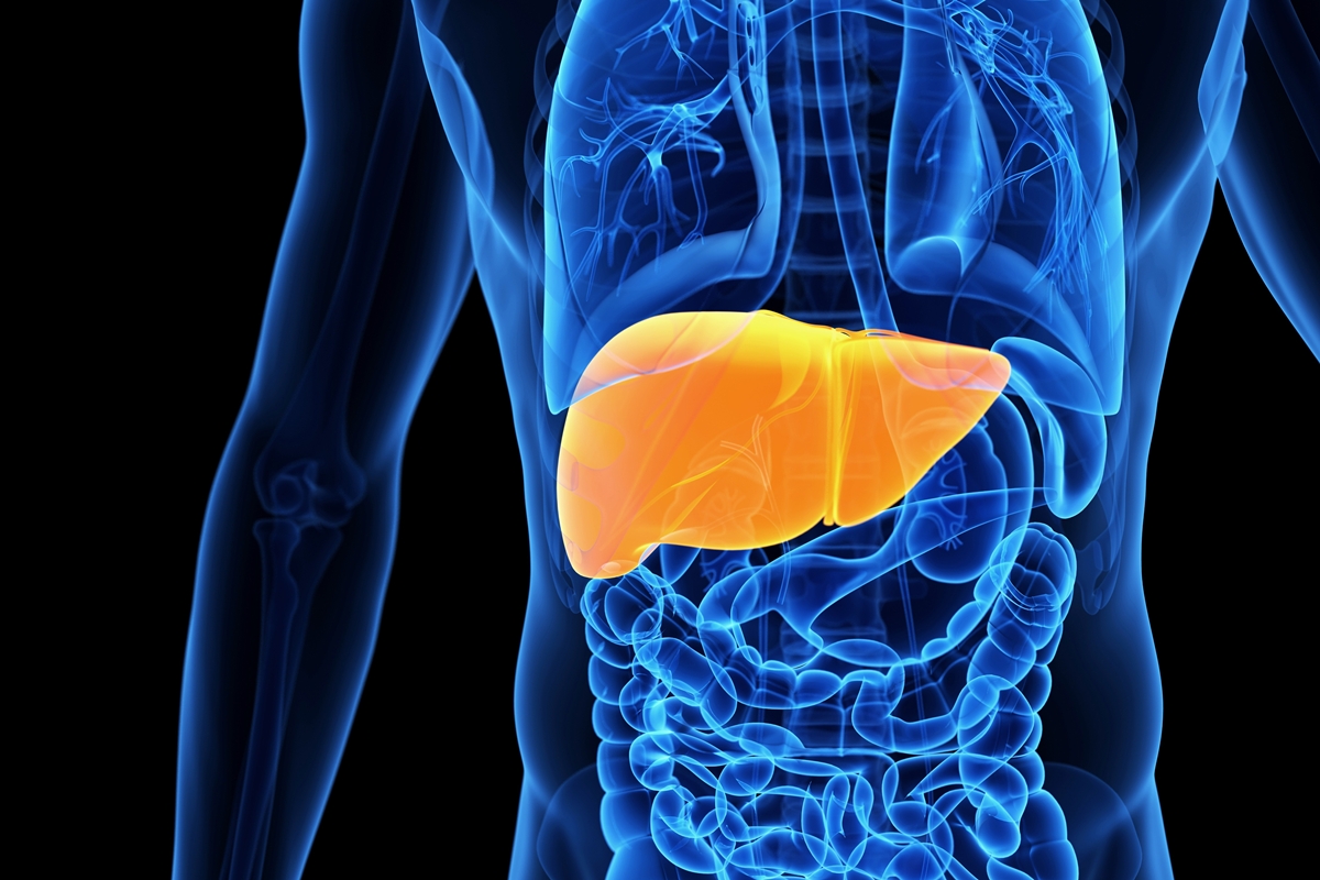 Endocrinologista aponta combinação que pode ser tóxica para o fígado