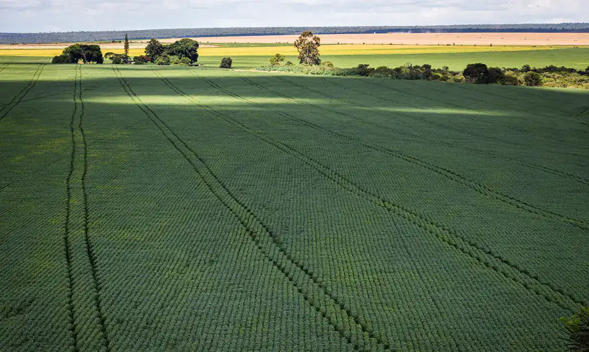 Mesmo com desconto federal, seguro rural alcança poucos produtores no Acre; saiba como aderir