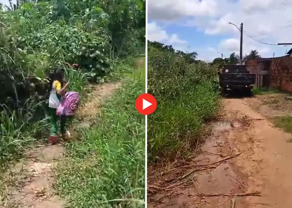 Morador denuncia mato e lixo em acesso a escolas no Montanhês