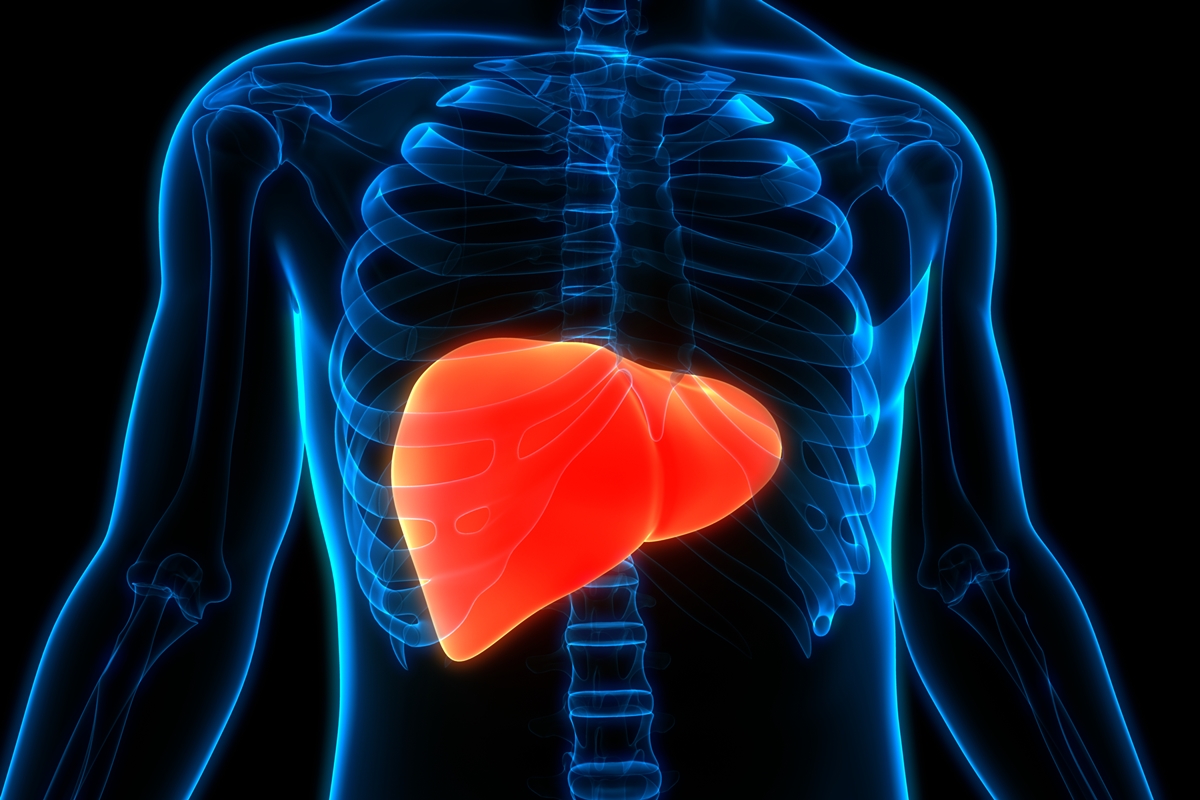 Hepatologista diz como a gordura no fígado pode prejudicar o coração