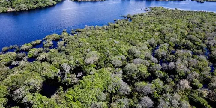 Com foco em 48 municípios, governo lança edital para reduzir desmatamento na Amazônia