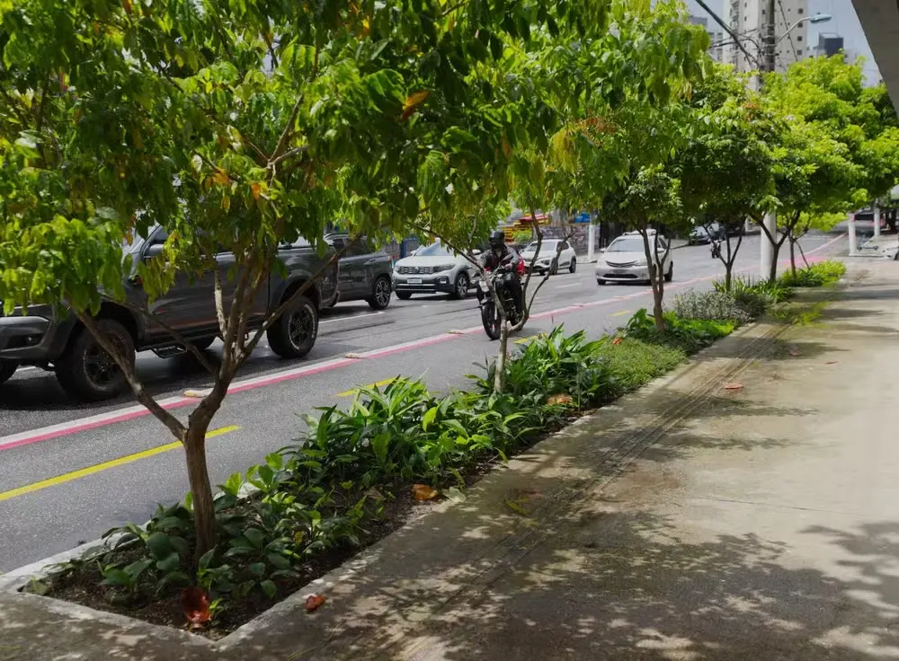 Belém inicia implantação de jardins de chuva para reduzir pontos de alagamento