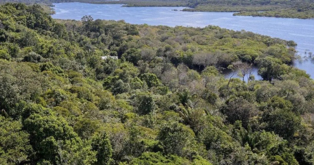 Amazônia Legal concentra 46,9% dos conflitos de terra no país