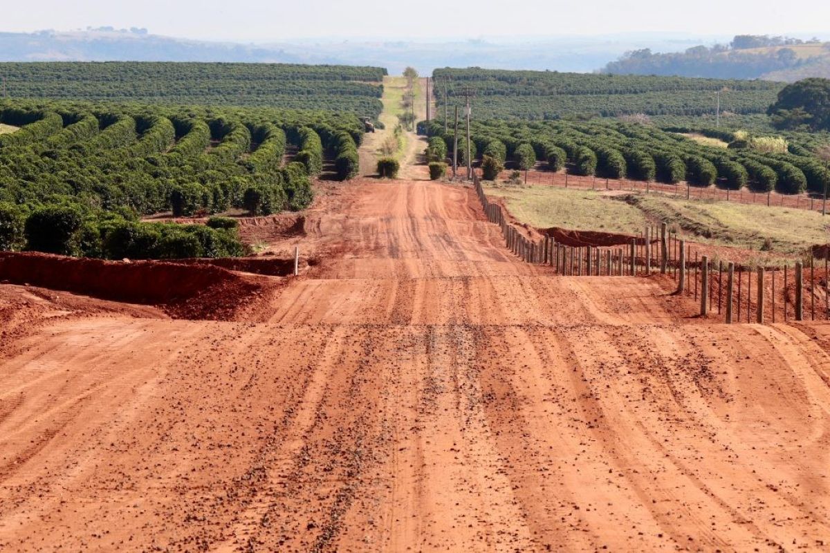 Justiça bloqueia R$ 632 mil de subsecretário da Agricultura de SP