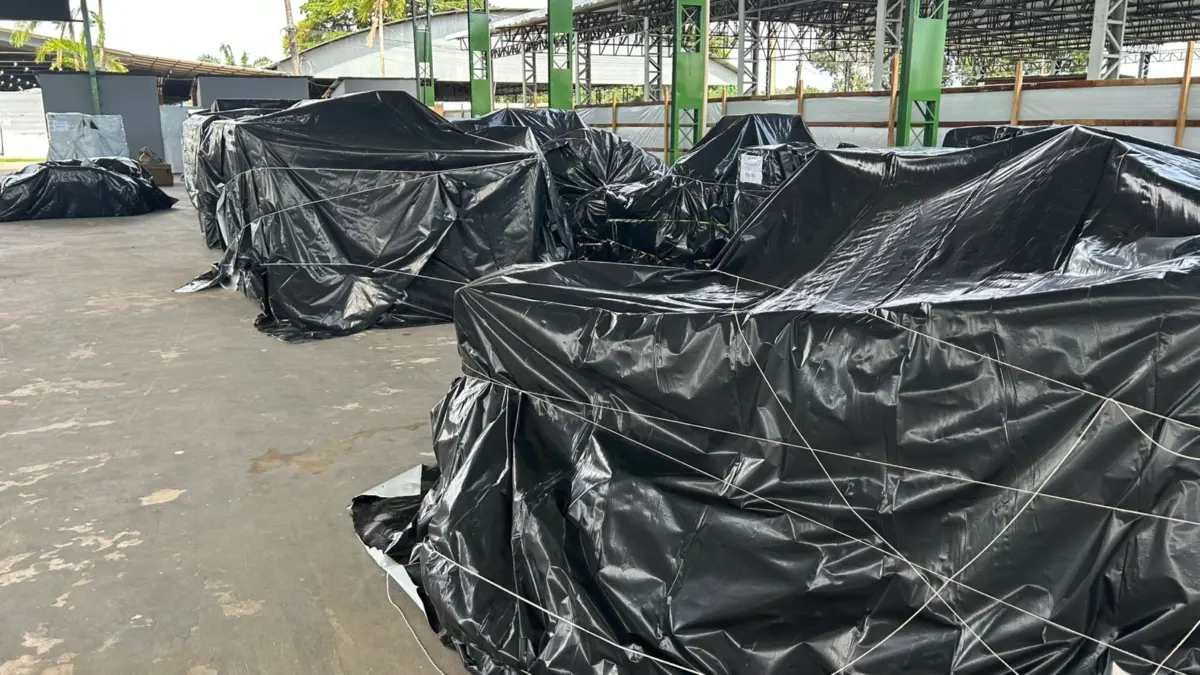 Cheia atinge mais de 30 bairros na capital; 80% de abrigados dependem do Bolsa Família