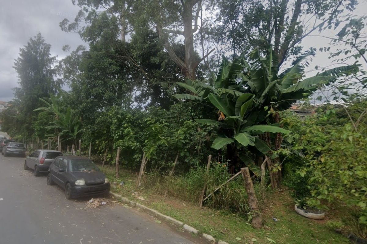 Ossada humana é encontrada em área de proteção ambiental