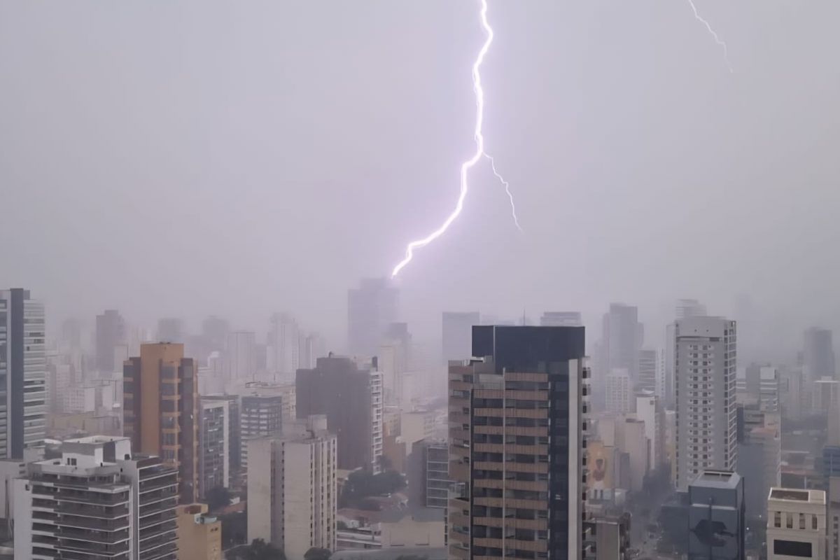 Chuva forte deixa vias alagadas e derruba árvores em São Paulo