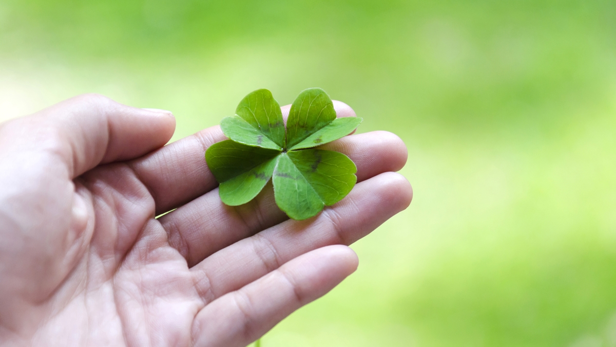 Estes signos terão muita sorte em fevereiro; o seu é um deles?