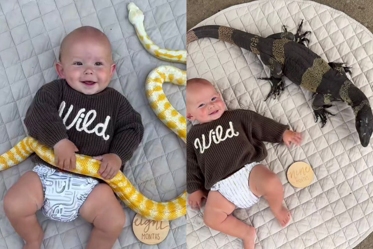 Mãe é detonada ao fazer fotos de bebê abraçado a cobras e sapos