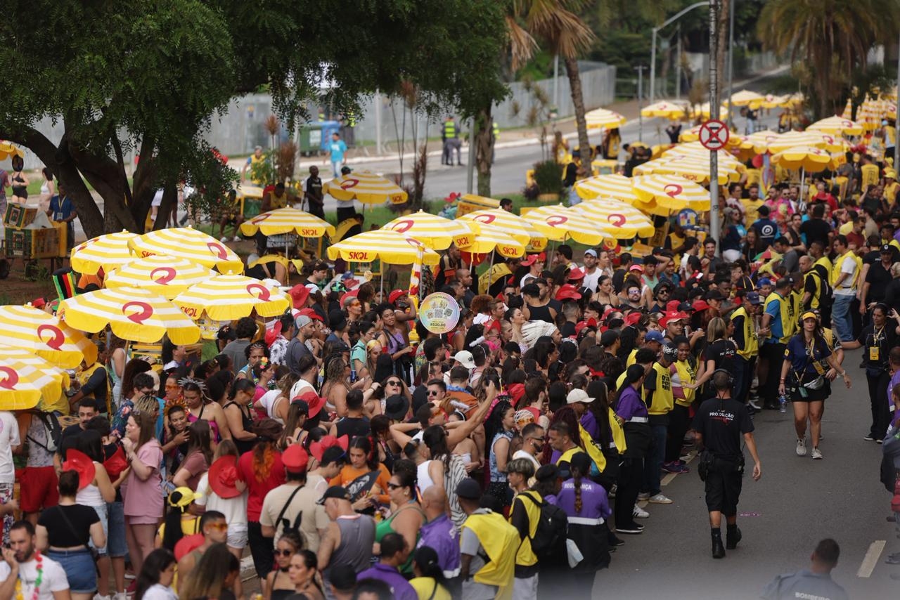 Foliões lotam o Ibirapuera para curtir 1º bloco de Ivete no carnaval