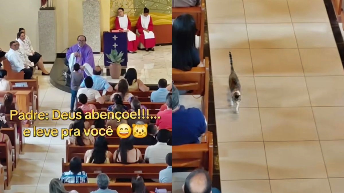 Criança pede bênção para gato em missa e padre atende ao pedido