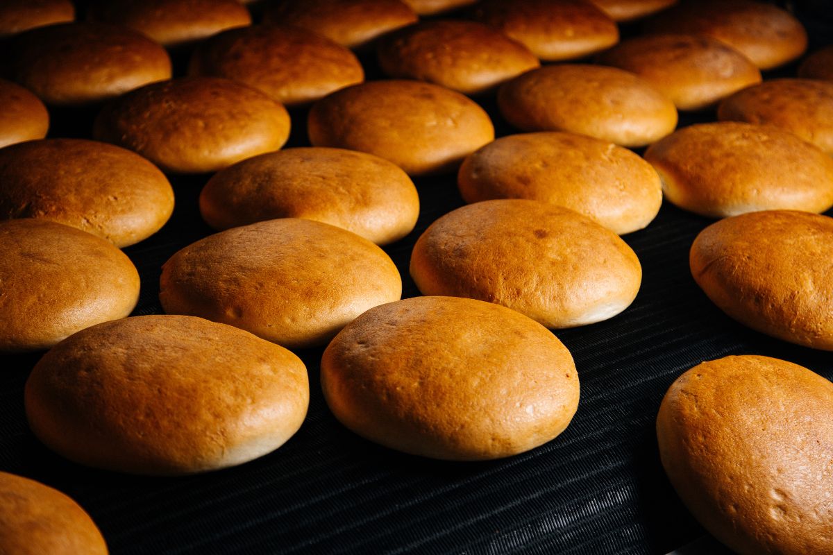 Pão saudável de aveia: sem trigo e sem ovos, receita é gostosa e leve