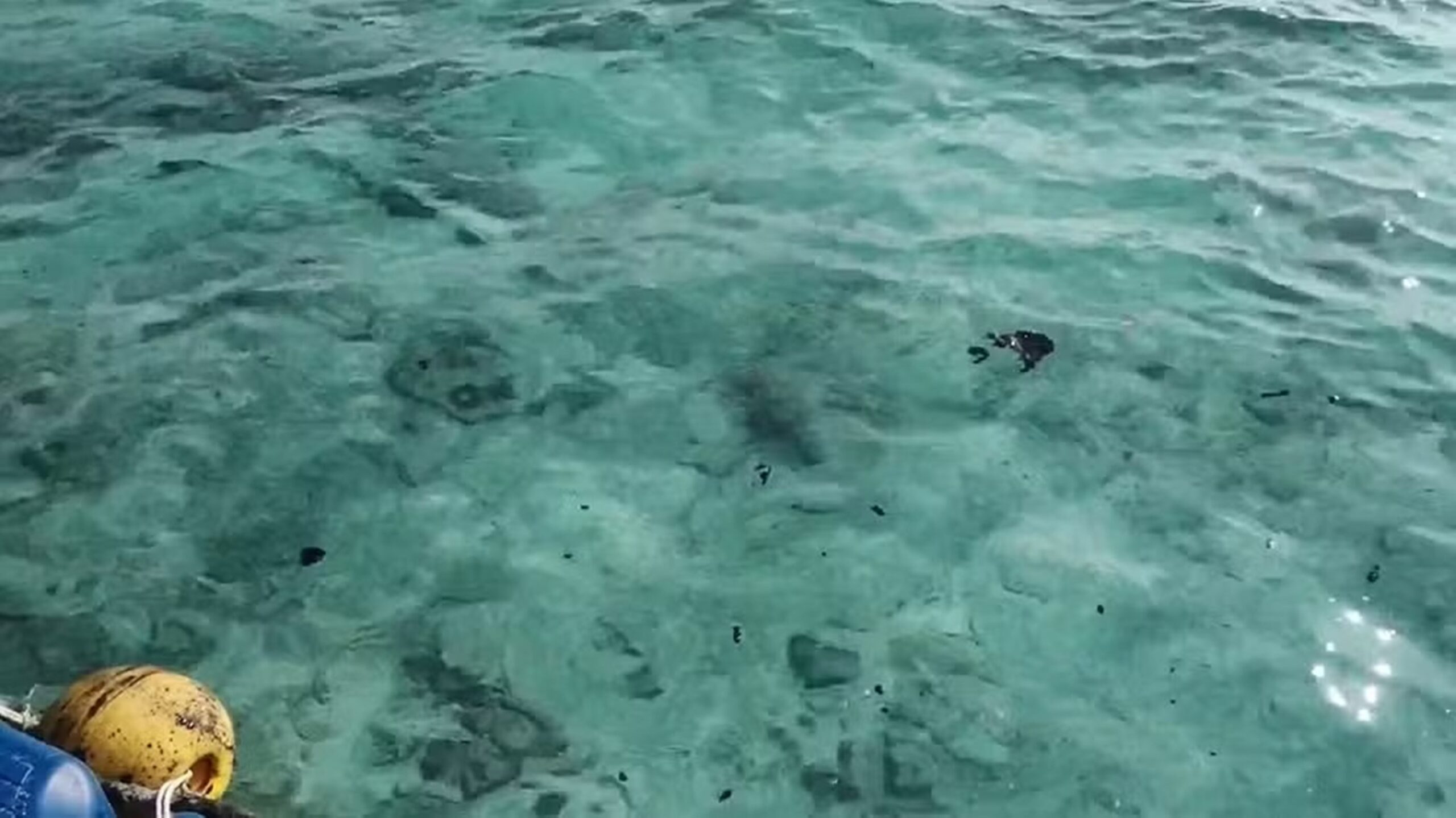 Petróleo vaza de cargueiro e atinge praias paradisíacas na Tailândia