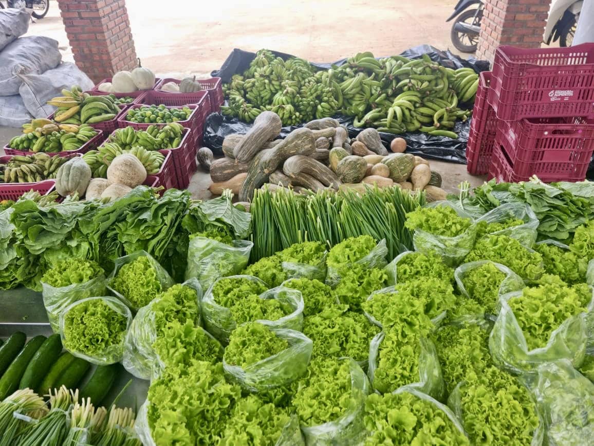 Seagri publica resultado final de credenciamento de produtores rurais no Acre